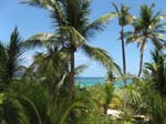 Punta_Cana_2007 256