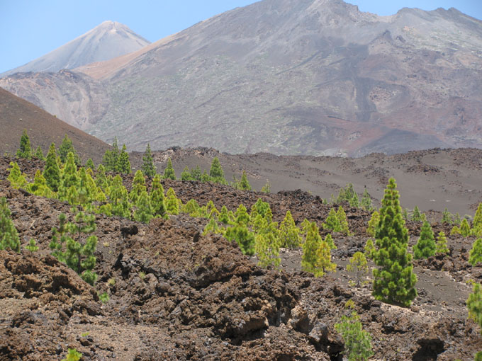 Teneriffa_Mountainbiketour15